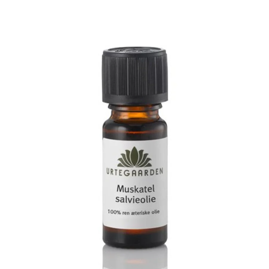 Miniatyr 1